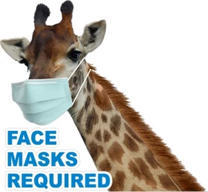 CUTE GIRAFFE FACE MASK REQUIRED STOREFRONT VINYL DECALS (CHOOSE YOUR SIZE) - Picture 1 of 5