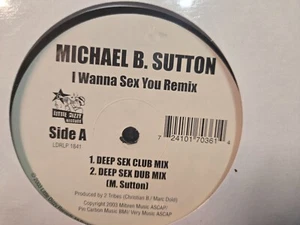 Michael B. Sutton – I Wanna Sex You Remix - 12" NEW, SEALED HOUSE VINYL SINGLE - Picture 1 of 3