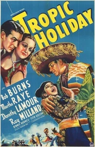 Tropic Holiday DVD - Dorothy Lamour Ray Milland dir. Reed Vintage Musical 1938 - Bild 1 von 7