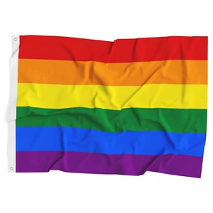 Bandera Arco Iris 3x5' Pies 6 Rayas Orgullo Gay Bandera Poliéster LGBT - Imagen 1 de 5