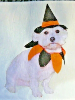 NUEVO CON ETIQUETAS 2 piezas Disfraz de perro "BRUJA" - TALLA ÚNICA Foto 1 de 2