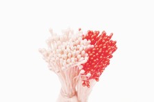 Confezione 288 pistilli bianco perla rosso Decora