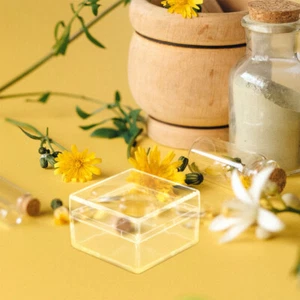 Transparent Storage Box Mineral Specimens Compact Display Case Cube Small - Picture 1 of 12