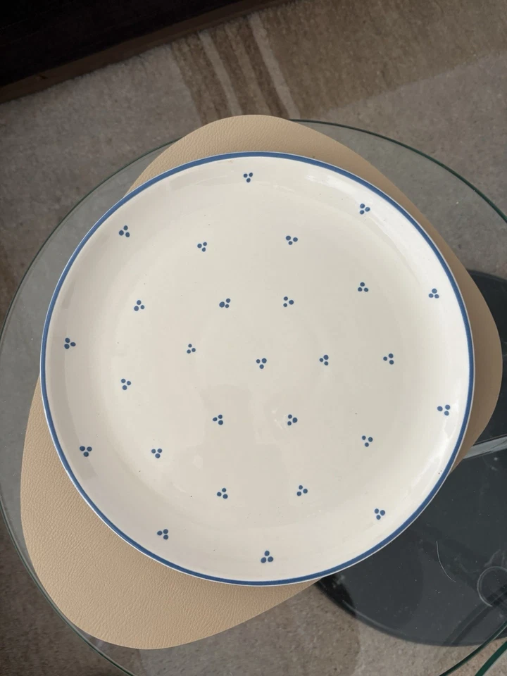 6 + 1 Speiseteller Essteller Porzellan 30 Cm Rheinsberger Porzellan Germany - Bild 1 von 4