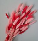 Rabbit Tail  Bunnytail Bunch, Red & Pink Dried Flowers, Valentines, Stems, 20Cm