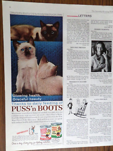 1961 Puss n Boots Cat Kitten Food Ad Siesta on the Stairs