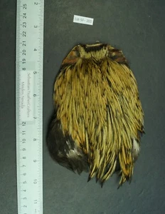 Imported Badger Rooster Neck Lot-SF 201 - Picture 1 of 6