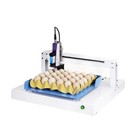 Automatic Egg Inkjet Printer Duck Egg Pigeon Egg Coding Machine Inkjet Printer\