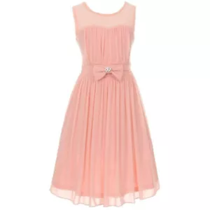 Vestido BLUSH Talla 14 Chifón Flor Niña Fiesta Cumpleaños Boda Dama de honor Baile - Imagen 1 de 2