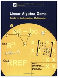 Linear Algebra Gems: Assets for Undergraduate Mathematics - Imagen 1 de 1