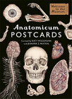 Jennifer Z Paxton Anatomicum Postcard Box (Cards)