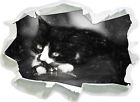 schwarze Katze spielt mit Ehering Kunst Kohle Effekt - 3D-Look Papier Wandtattoo