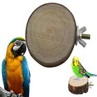 Wood Bird Perch Stand Natural Paw Grinding Toys  Squirrel Dragon Cat Parrot