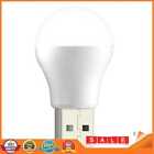 USB Night Bulb Portable Small Book Lamps LED Reading Light (White Light)