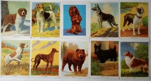 Páginas de arte para perros cuantía 10 de 1941 libro de Arthur O. Scott - Imagen 1 de 12