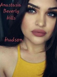 ANASTASIA BEVERLY HILLS LIQUID MATTE LIPSTICK HUDSON FADED TERRACOTTA AUTHENTIC - Picture 1 of 6