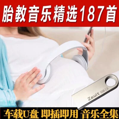 Fetal music 187 songs on music flash drive Classic fetal music tracks - Image 1 of 4