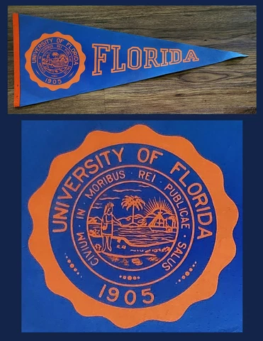 VINTAGE University of Florida Gators Football Pennant! WOW! Cover