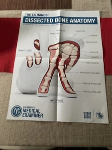OG SLICK DISSECTED BONE LA HANDS POSTER DESIGNERCON EXCLUSIVE DCON (AP) - Picture 1 of 5