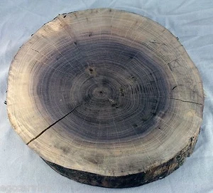 Circle Cut Black Walnut Live Edge Tree Log Slice Rustic Wedding Slab Log Cabin - Picture 1 of 3