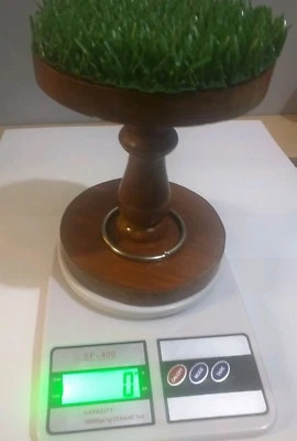 Falconry Digital Scale Made with Original AstroTurf & Ring - Image 1 of 4