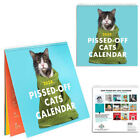 2024 Pissed-Off Cat Calendar Funny Desk Cat Pattern Easel Calendar New Year Gift