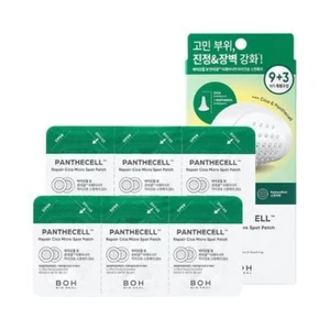 Parche Micro Spot BIOHEAL BOH Panthecell Repair Cica 9+3 hojas cuidado de la piel coreana - Imagen 1 de 1