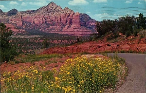 Postkarte Oak Creek Canyon Arizona 1965 Gray Mountain PC455 - Bild 1 von 2