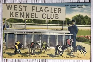 Postal vintage del Miami Florida West Flagler Kennel Club años 40 - Imagen 1 de 2