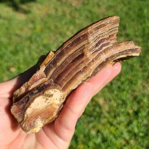 BROWN RHODOCHROSITE LAPIDARY ROUGH ARGENTINA 1lb 7.7oz - Picture 1 of 6
