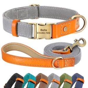 Personalised Dog Collar and Lead set Soft Padded NyLon Custom Engraved ID Tag - Picture 1 of 18