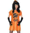 Sexy Halloween Kleid In Orange Oder Schwarz Von 38 Bis 46 Kürbis Karneval Party