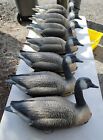 ONE (1) Carry Lite 22" Goose Decoy Canada Goose Made in Italy Duck
