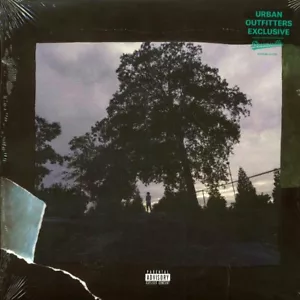 VINYL J Cole - 4 Your Eyez Only - Picture 1 of 2