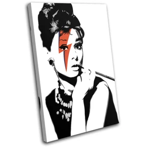 Audrey Hepburn Pop Art Icónico Celebridades LIENZO ARTE DE PARED Impresión de imágenes VA - Imagen 1 de 1