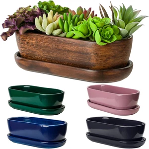 Keramik Blumentopf L 29 cm Kakteenschale inkl. Untersetzer Bonsai Kakteen - Bild 1 von 31