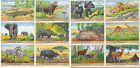 S 1349/Liebig/Wild Animals Of Congo (Bel) MF45105