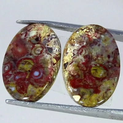 Par de piedras preciosas cabujón ovaladas de ágata raíz de palma natural de 15,00 quilates 12X17X4 mm Foto 1 de 4