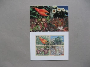 NACIONES UNIDAS NY, maxi tarjeta maximicard FDC 1996, plantas cactus - Imagen 1 de 1