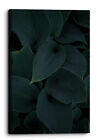 Black And Green Plants Leaves In Dark Background Canvas Wall Art Picture Ho...