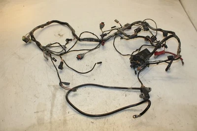 2005 Arctic Cat 650 4x4 Main Engine Wiring Harness Wire Loom 0486-157 Foto 1 de 4