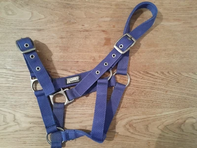 Blue Roma Pony Size Halter - image 1 of 3