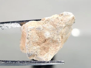 NWA 16520, Lunar (frag. breccia), 2,74 g, meteorito como encontrado, muestra enterrada - Imagen 1 de 11