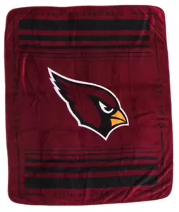 NFL ARIZONA CARDINALS Super Soft Sherpa Plush Throw Blanket 60"x70" - NEW IN PKG - Picture 1 of 3