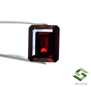 12x10 mm Zertifiziert Natürlicher Roter Granat Achteckschliff Paar 6,89 cts Lose Edelstein - Bild 1 von 7