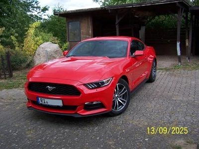 Ford Mustang - Bild 1 von 4