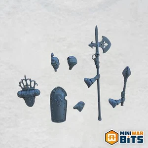 Celestian Sacresant Single Weapon & Shield Set - Warhammer 40k Sisters of Battle - Bild 1 von 1