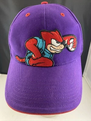 Gorra de béisbol de ligas menores Akron Aeros 47 marca juvenil ajustable envío gratuito Foto 1 de 4