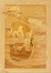 Orso polare fauna artica natura selvaggia eco regalo pannello appeso a parete - Imagen 1 de 15