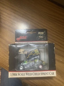 💣1/50 GMP #22 Jac Haudenschild Wild Child Sprint Car - Picture 1 of 3